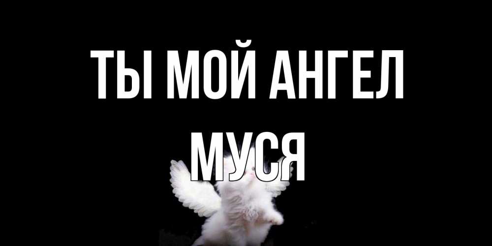 Открытка на каждый день с именем, Муся Ты мой ангел Кот ангел Прикольная открытка с пожеланием онлайн скачать бесплатно 