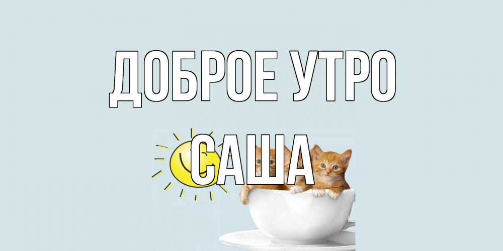 Открытка на каждый день с именем, Саша Доброе утро котята Прикольная открытка с пожеланием онлайн скачать бесплатно 