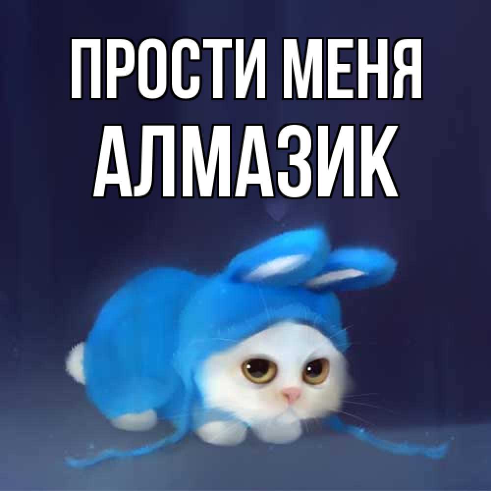 Открытка на каждый день с именем, Алмазик Прости меня невинный котозай просит прощения Прикольная открытка с пожеланием онлайн скачать бесплатно 