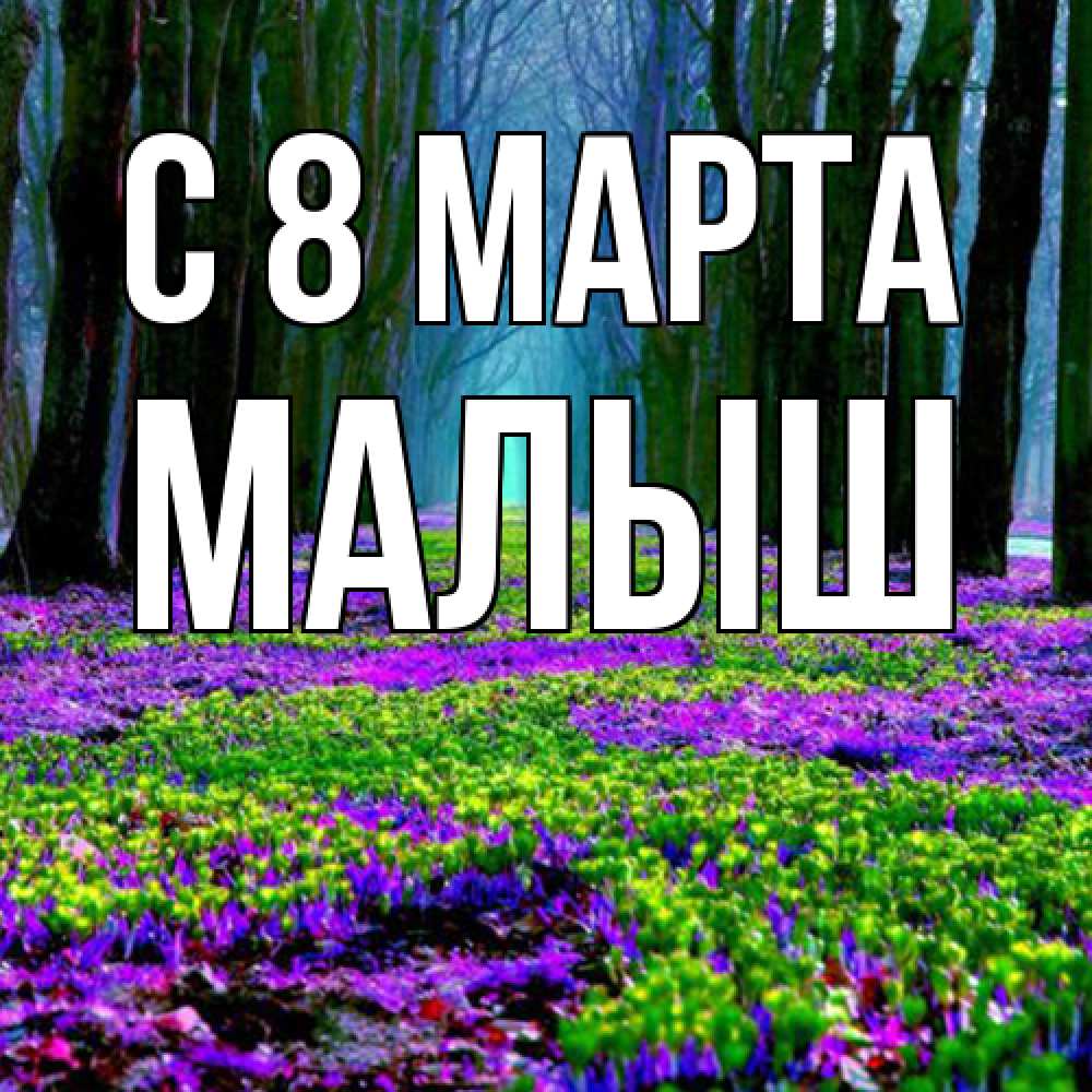 Открытка на каждый день с именем, Малыш C 8 МАРТА фиолетовые цветы в лесу 1 Прикольная открытка с пожеланием онлайн скачать бесплатно 