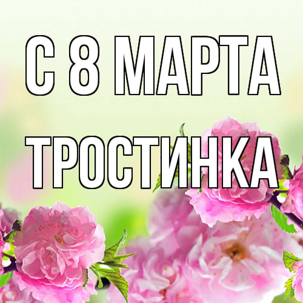 Открытка на каждый день с именем, Тростинка C 8 МАРТА цветы Прикольная открытка с пожеланием онлайн скачать бесплатно 
