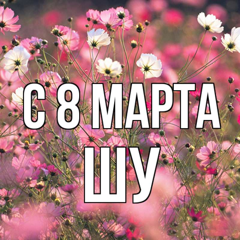 Картинка C 8 МАРТА, Шу