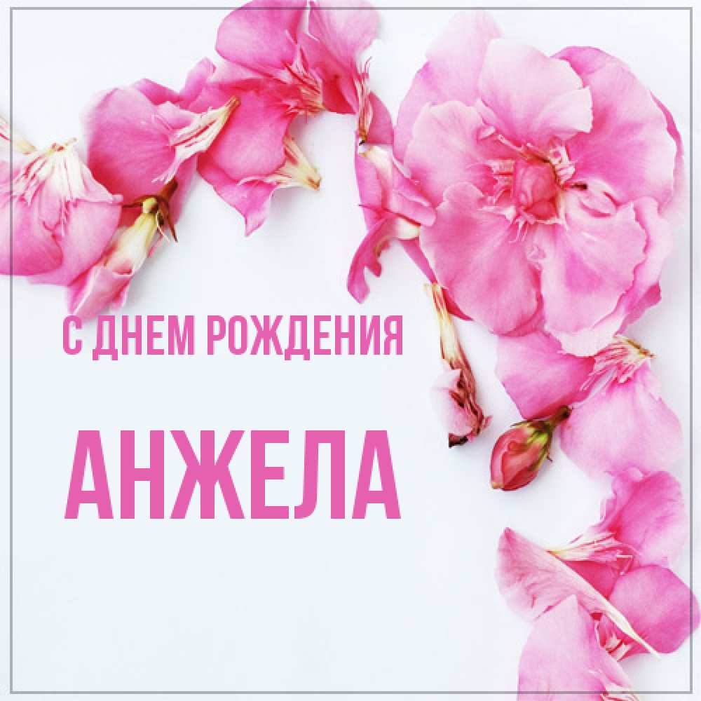 Открытка на каждый день с именем, Анжела С днем рождения Красивая открытка для поздравления с днем рождения Прикольная открытка с пожеланием онлайн скачать бесплатно 