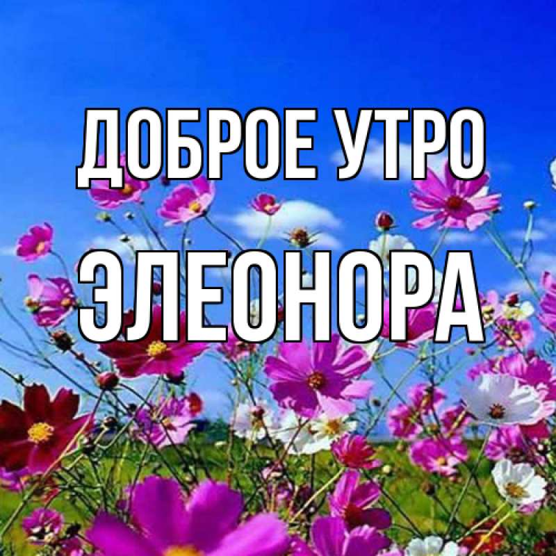 Картинка Доброе утро, Элеонора