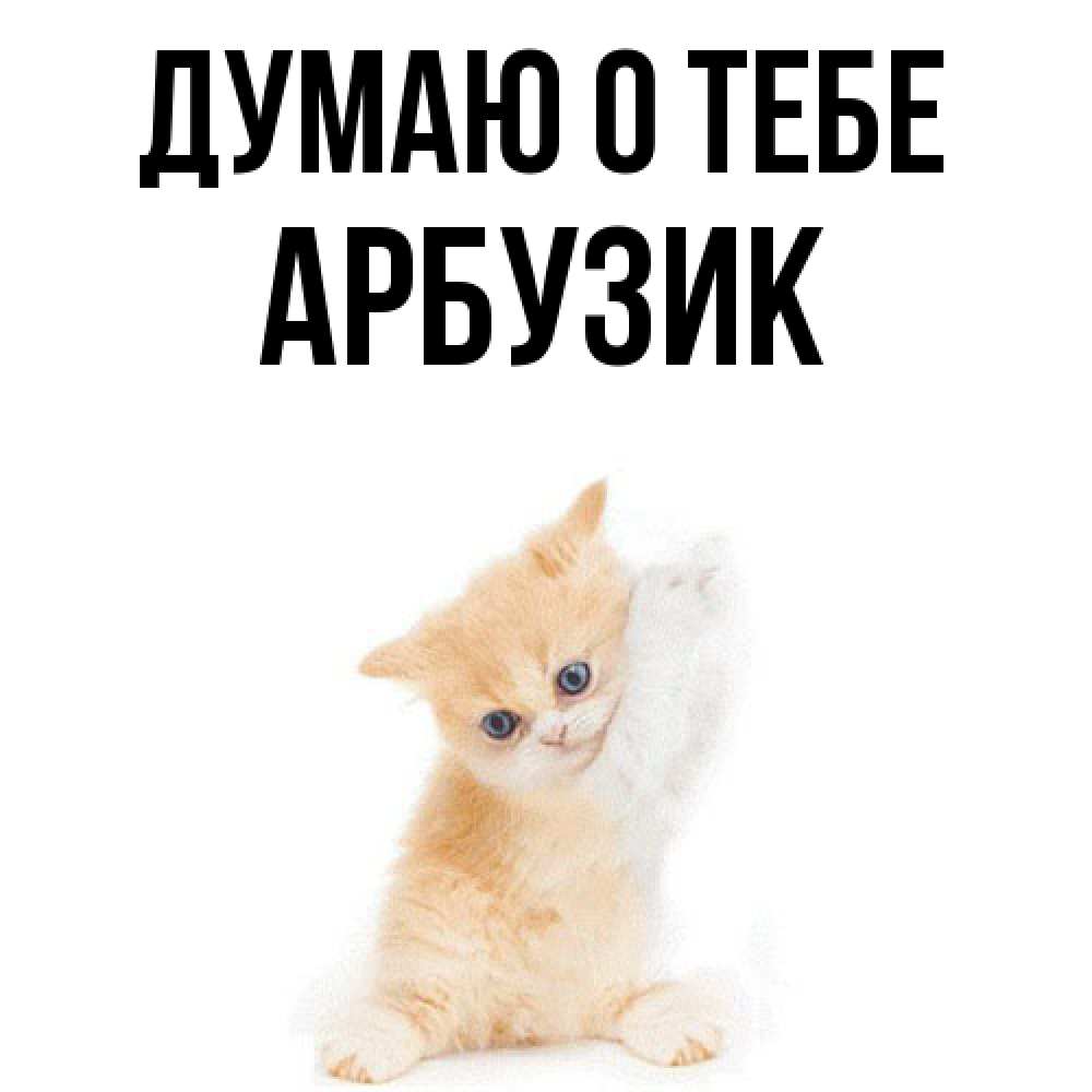 Открытка на каждый день с именем, Арбузик Думаю о тебе зверушки и милота Прикольная открытка с пожеланием онлайн скачать бесплатно 