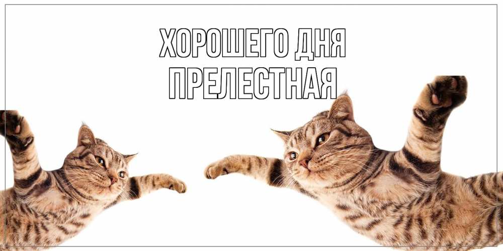 Открытка на каждый день с именем, Прелестная Хорошего дня хорошего дня Прикольная открытка с пожеланием онлайн скачать бесплатно 