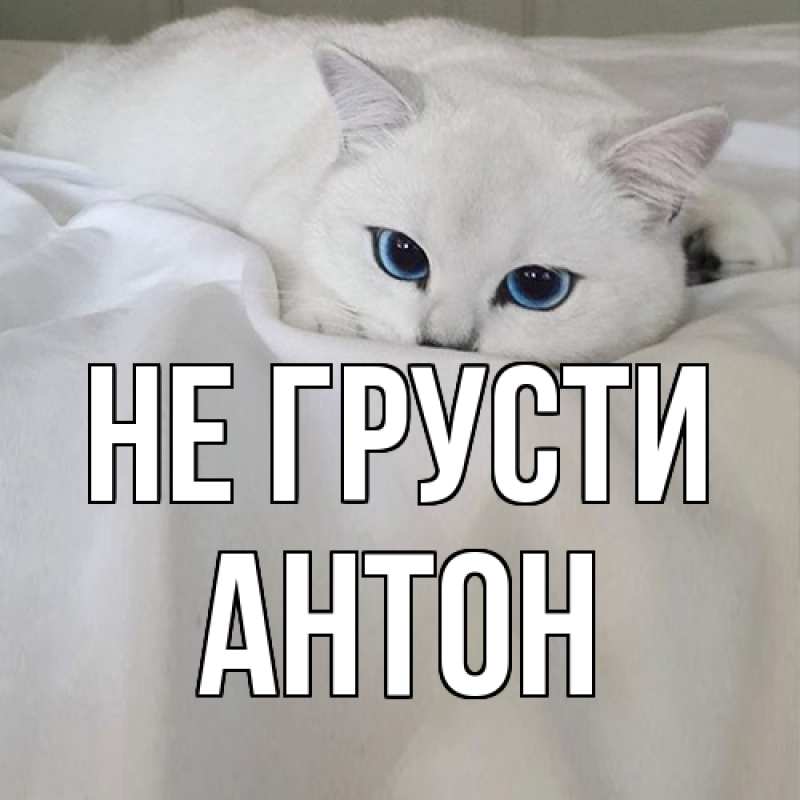 Картинка Не грусти, Антон