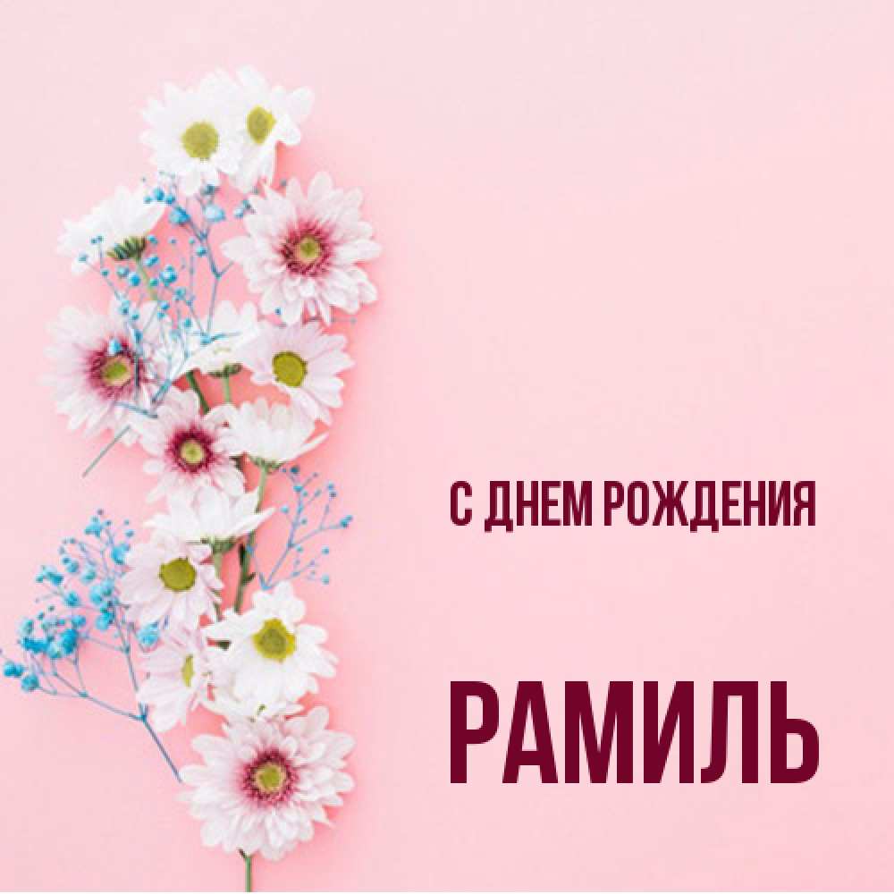 Открытка на каждый день с именем, Рамиль С днем рождения Родная моя с днем рождения тебя картинка с цветами белыми и голубыми Прикольная открытка с пожеланием онлайн скачать бесплатно 