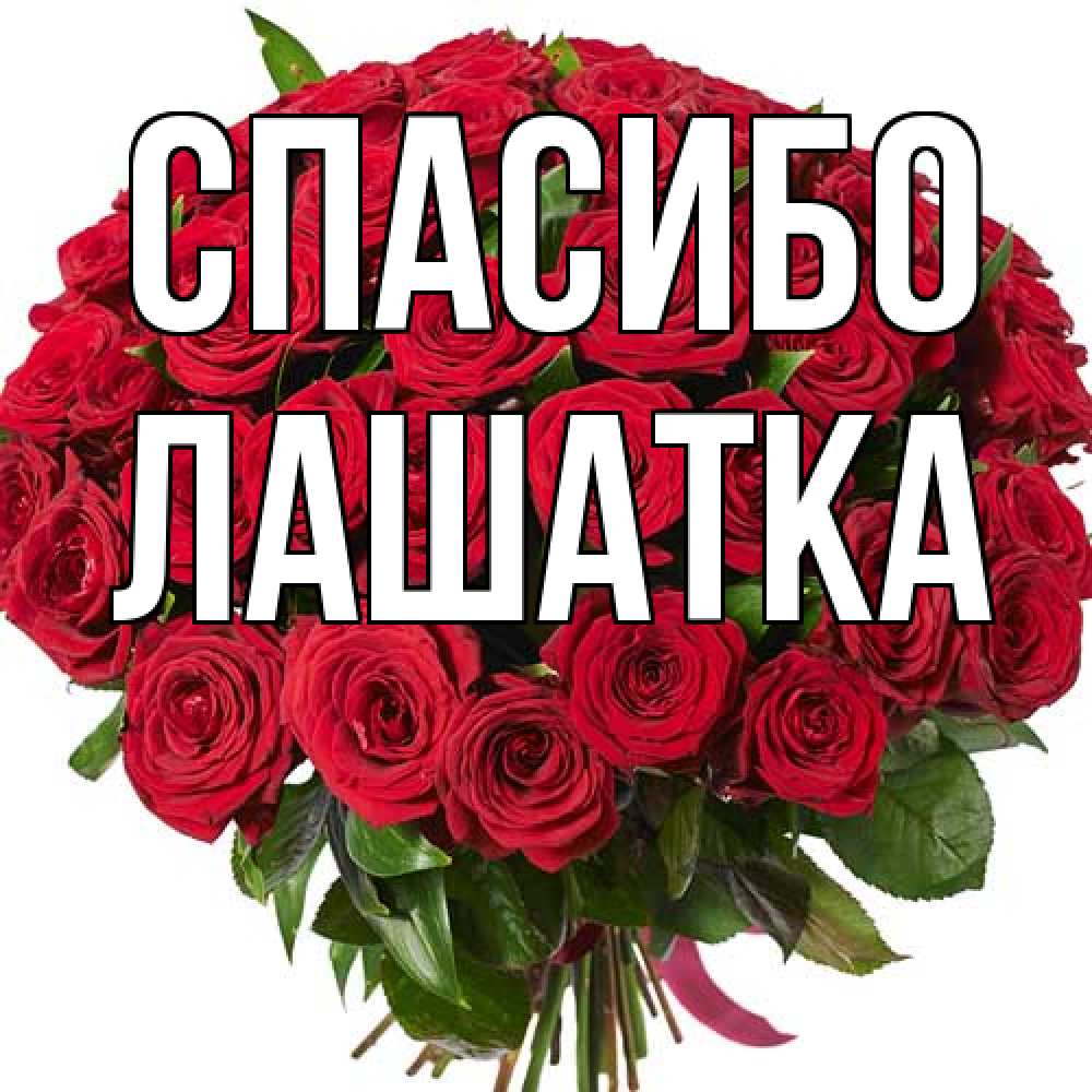 Открытка на каждый день с именем, Лашатка Спасибо букет красных роз Прикольная открытка с пожеланием онлайн скачать бесплатно 