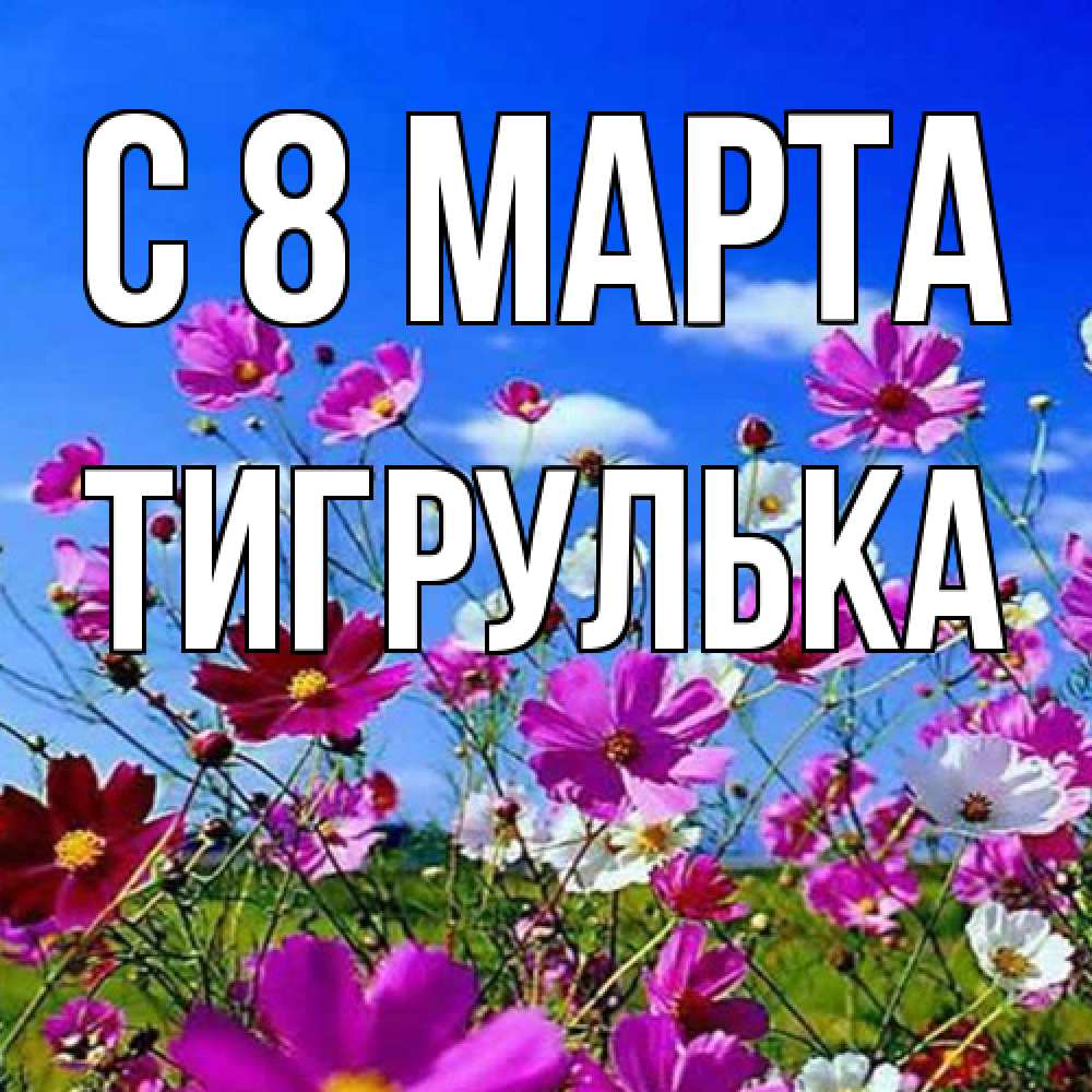 Открытка на каждый день с именем, тигрулька C 8 МАРТА цветы Прикольная открытка с пожеланием онлайн скачать бесплатно 