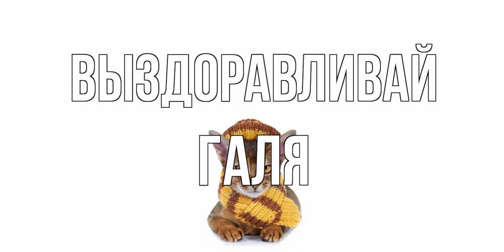Открытка на каждый день с именем, Галя Выздоравливай родные не болейте Прикольная открытка с пожеланием онлайн скачать бесплатно 