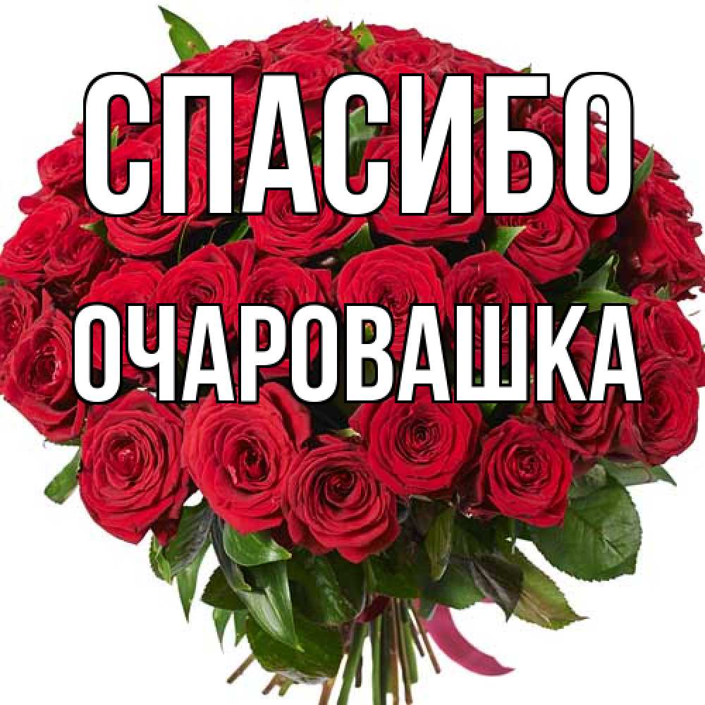 Открытка на каждый день с именем, Очаровашка Спасибо букет красных роз Прикольная открытка с пожеланием онлайн скачать бесплатно 