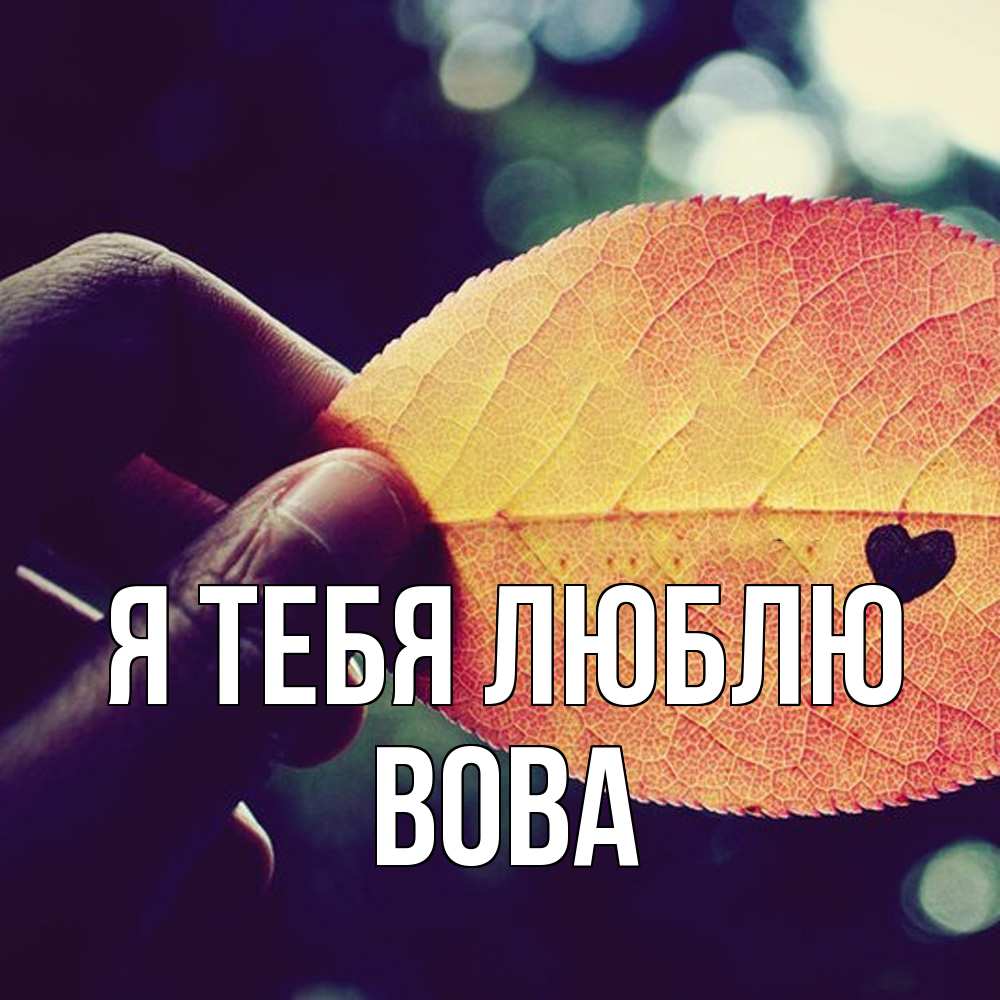 Открытка на каждый день с именем, Вова Я тебя люблю держу лист Прикольная открытка с пожеланием онлайн скачать бесплатно 