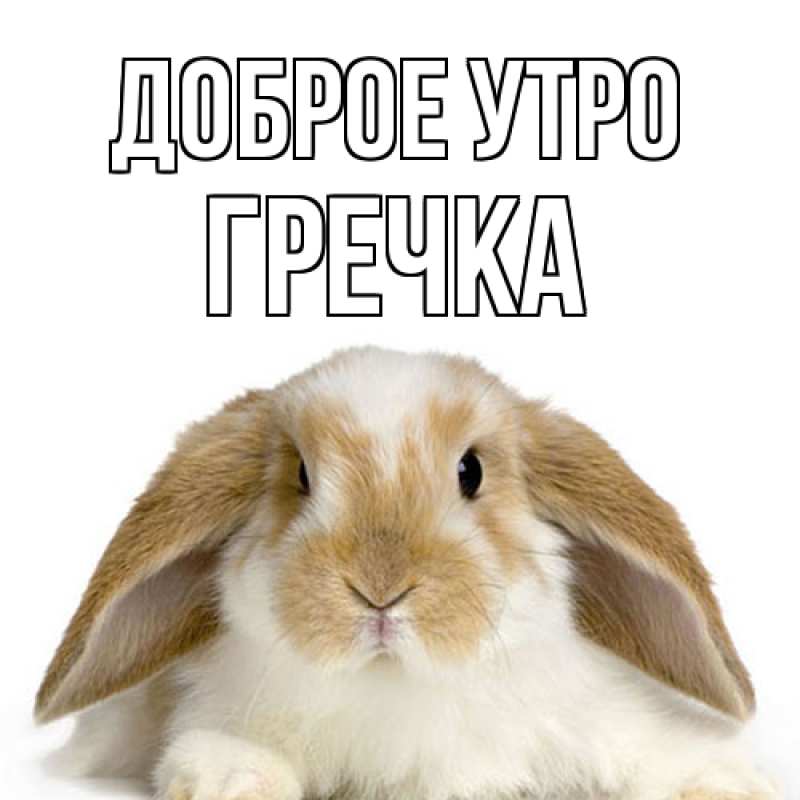 Картинка Доброе утро, Гречка