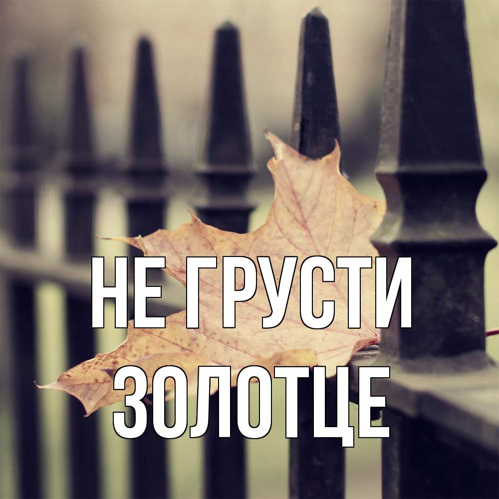 Открытка на каждый день с именем, Золотце Не грусти лист клена Прикольная открытка с пожеланием онлайн скачать бесплатно 