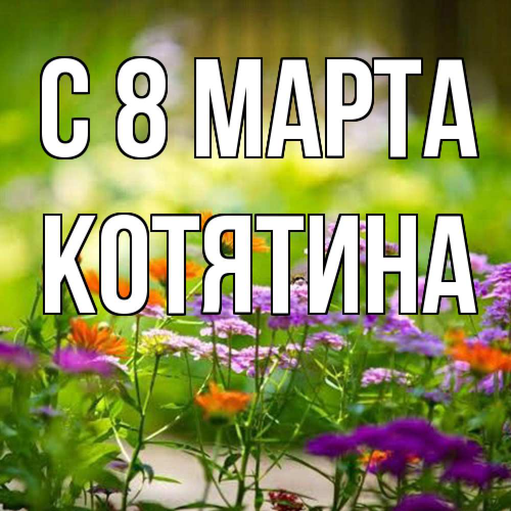 Открытка на каждый день с именем, Котятина C 8 МАРТА цветы Прикольная открытка с пожеланием онлайн скачать бесплатно 