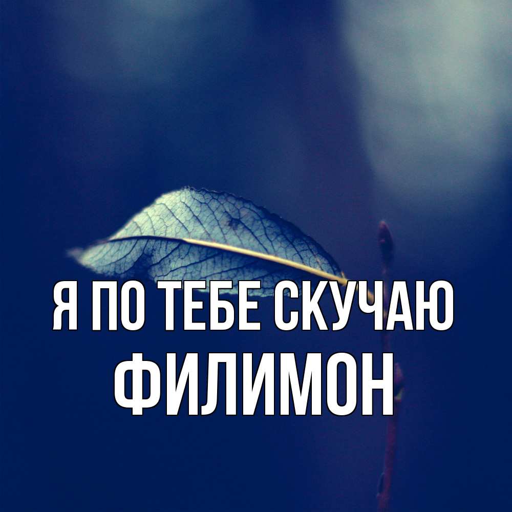 Открытка на каждый день с именем, Филимон Я по тебе скучаю одна ветка 1 Прикольная открытка с пожеланием онлайн скачать бесплатно 