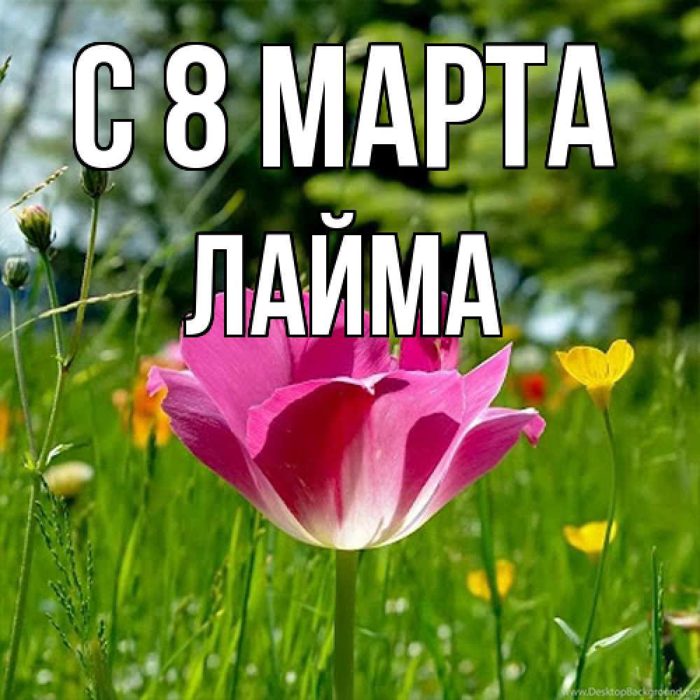 Открытка на каждый день с именем, Лайма C 8 МАРТА полевые цветы Прикольная открытка с пожеланием онлайн скачать бесплатно 