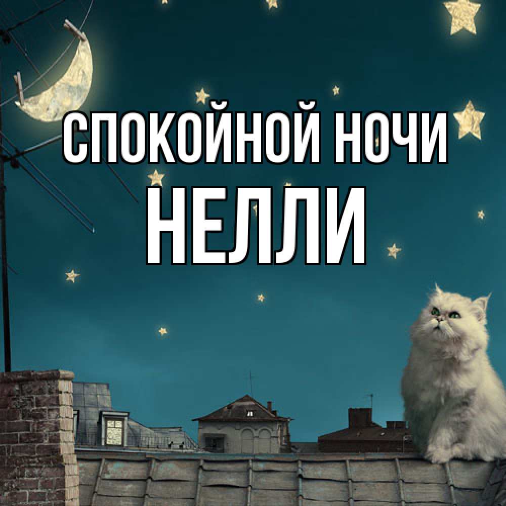 Открытка на каждый день с именем, Нелли Спокойной ночи белый кот сидит на крыше Прикольная открытка с пожеланием онлайн скачать бесплатно 