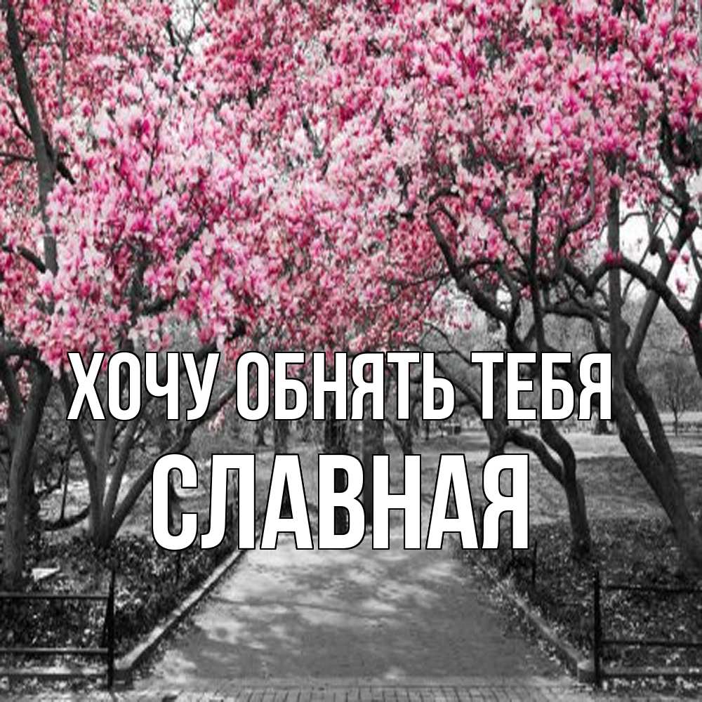 Открытка на каждый день с именем, Славная Хочу обнять тебя обработанное фото Прикольная открытка с пожеланием онлайн скачать бесплатно 