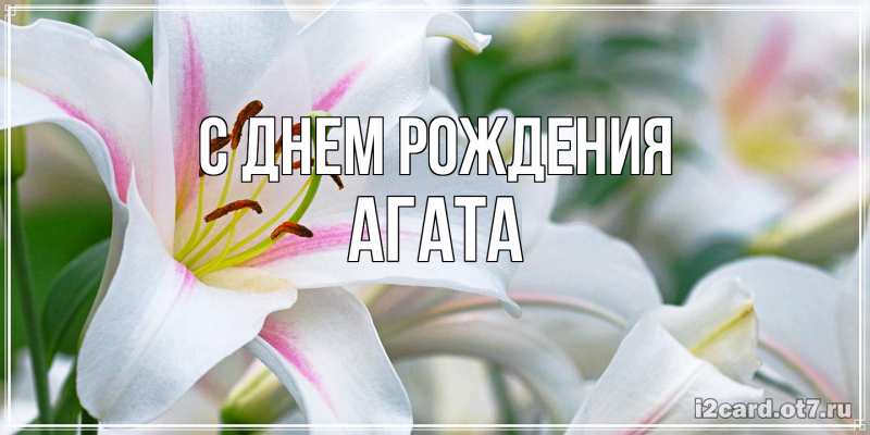 Картинка С днем рождения, Агата
