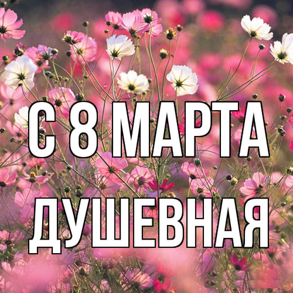Открытка на каждый день с именем, Душевная C 8 МАРТА красиво 1 Прикольная открытка с пожеланием онлайн скачать бесплатно 