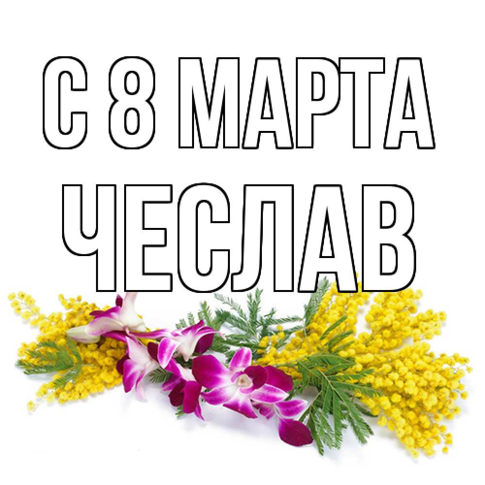 Открытка на каждый день с именем, Чеслав C 8 МАРТА открытка на международный женский день с цветами  1 Прикольная открытка с пожеланием онлайн скачать бесплатно 