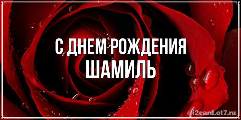 Картинка С днем рождения, Шамиль