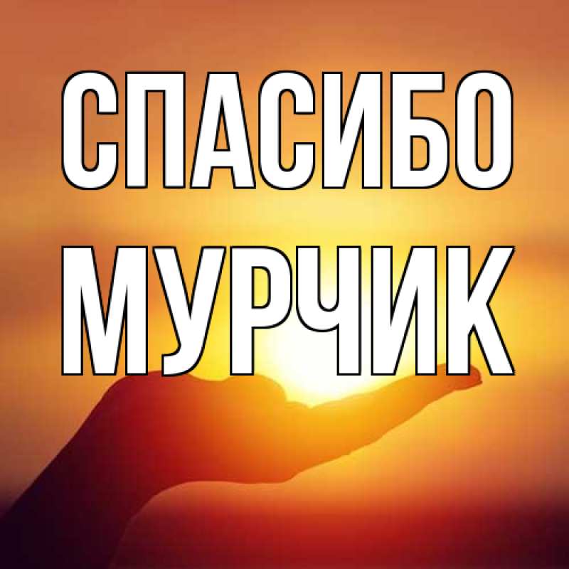 Открытка с именем, Мурчик, Спасибо