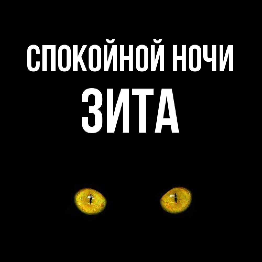 Открытка на каждый день с именем, Зита Спокойной ночи сладких снов бесстрашный мой дружочек Прикольная открытка с пожеланием онлайн скачать бесплатно 