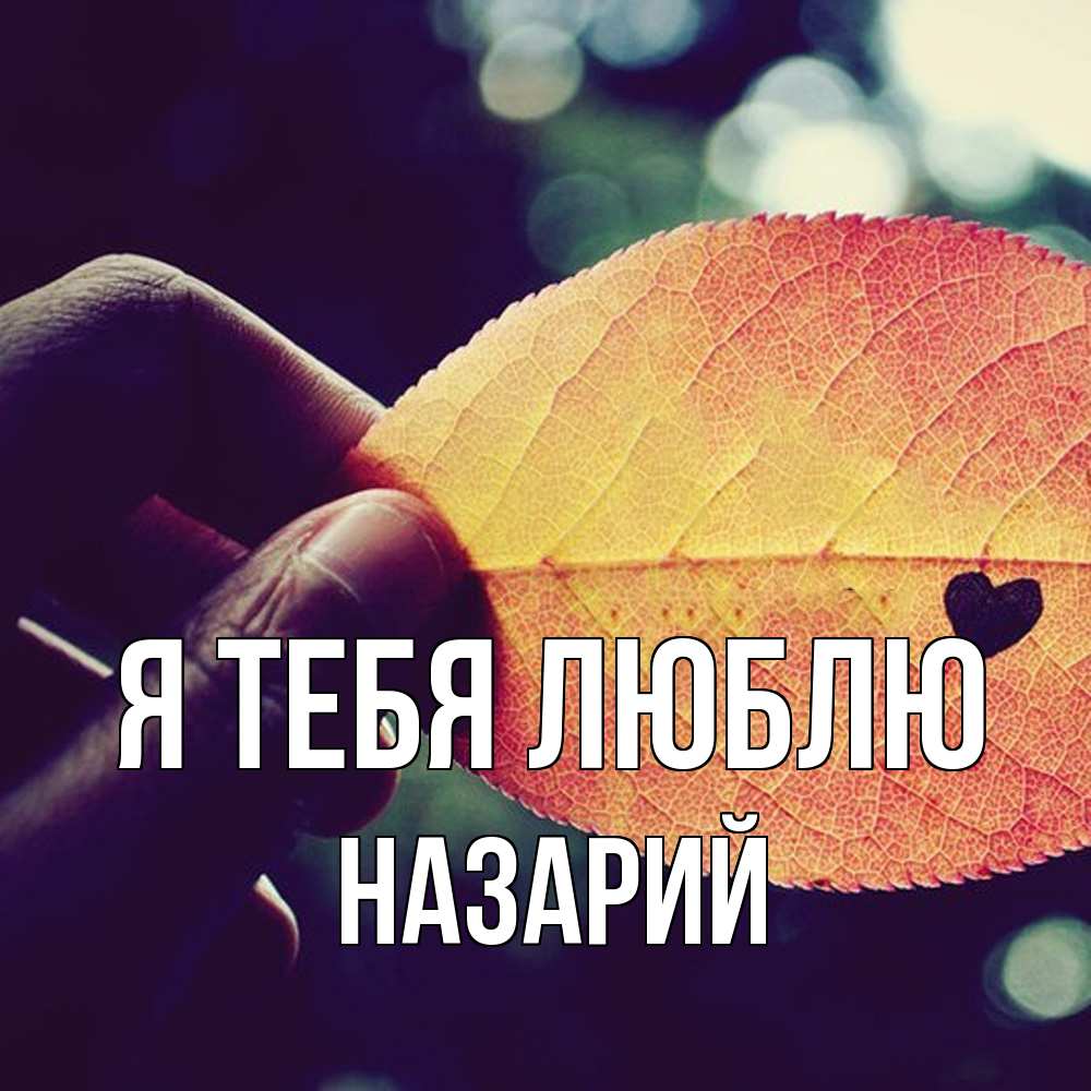Открытка на каждый день с именем, Назарий Я тебя люблю держу лист Прикольная открытка с пожеланием онлайн скачать бесплатно 
