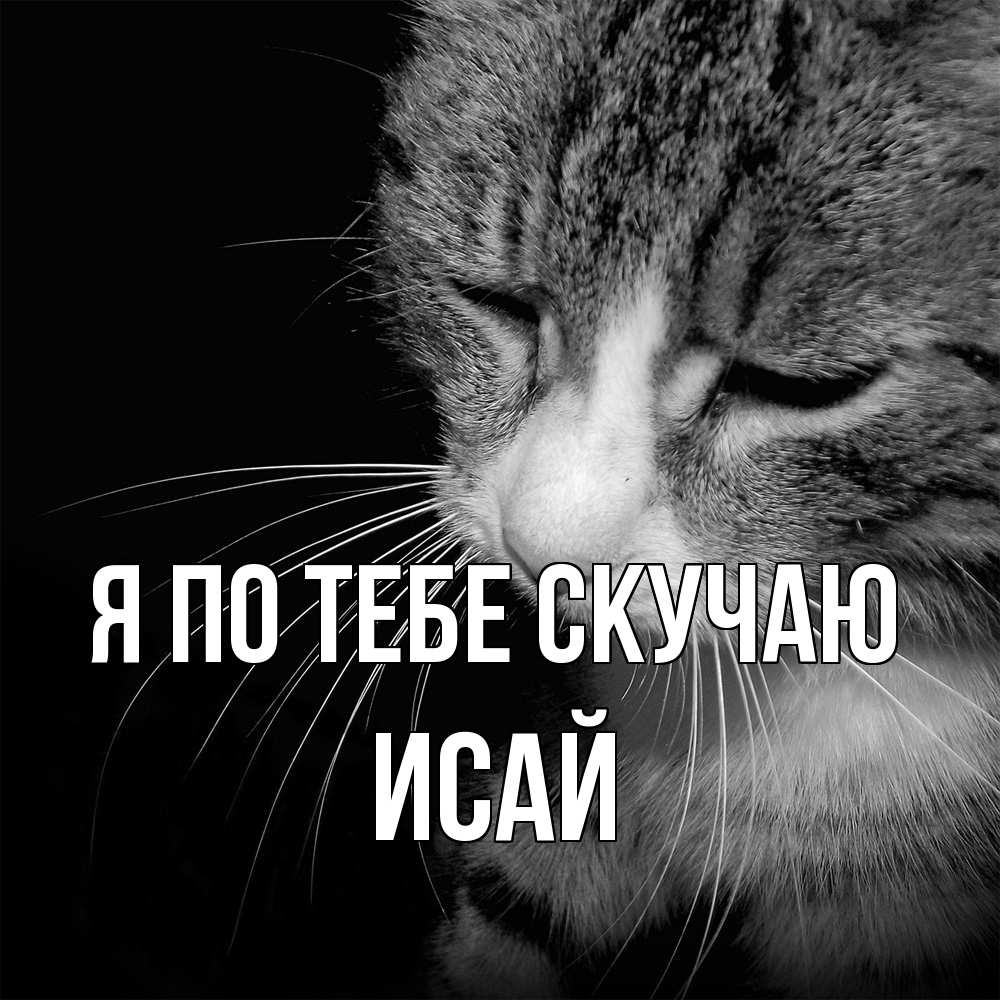 Открытка на каждый день с именем, Исай Я по тебе скучаю мне скучно Прикольная открытка с пожеланием онлайн скачать бесплатно 