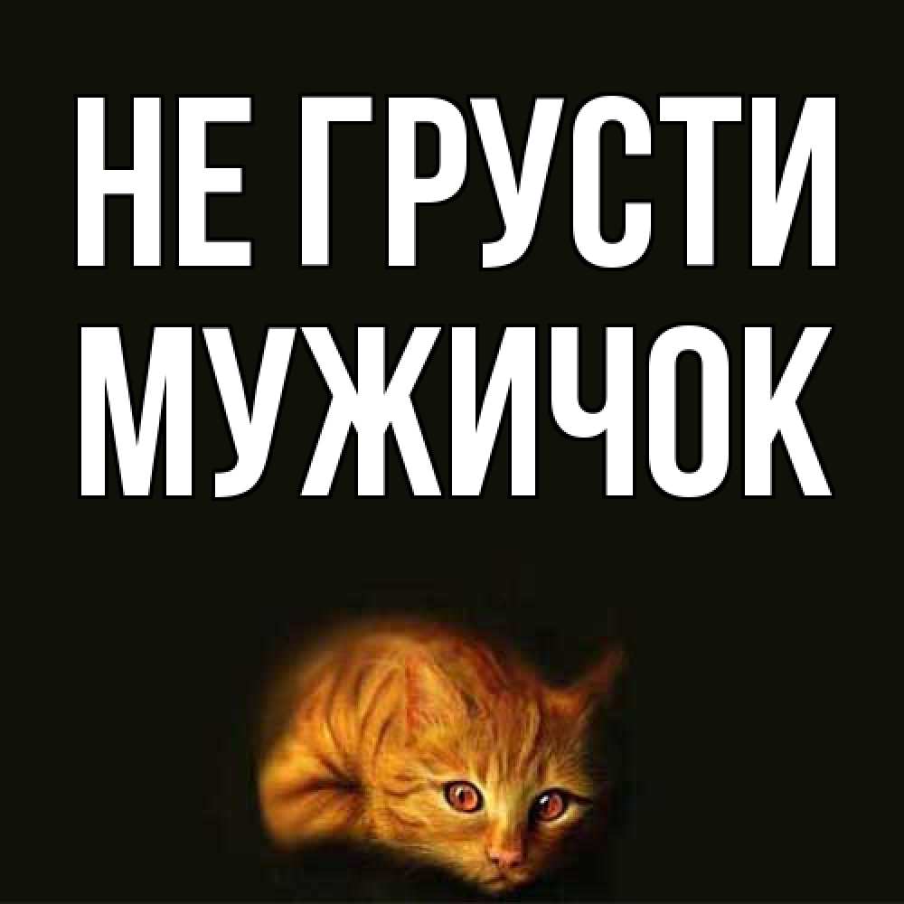 Открытка на каждый день с именем, Мужичок Не грусти лежащий кот в темноте Прикольная открытка с пожеланием онлайн скачать бесплатно 