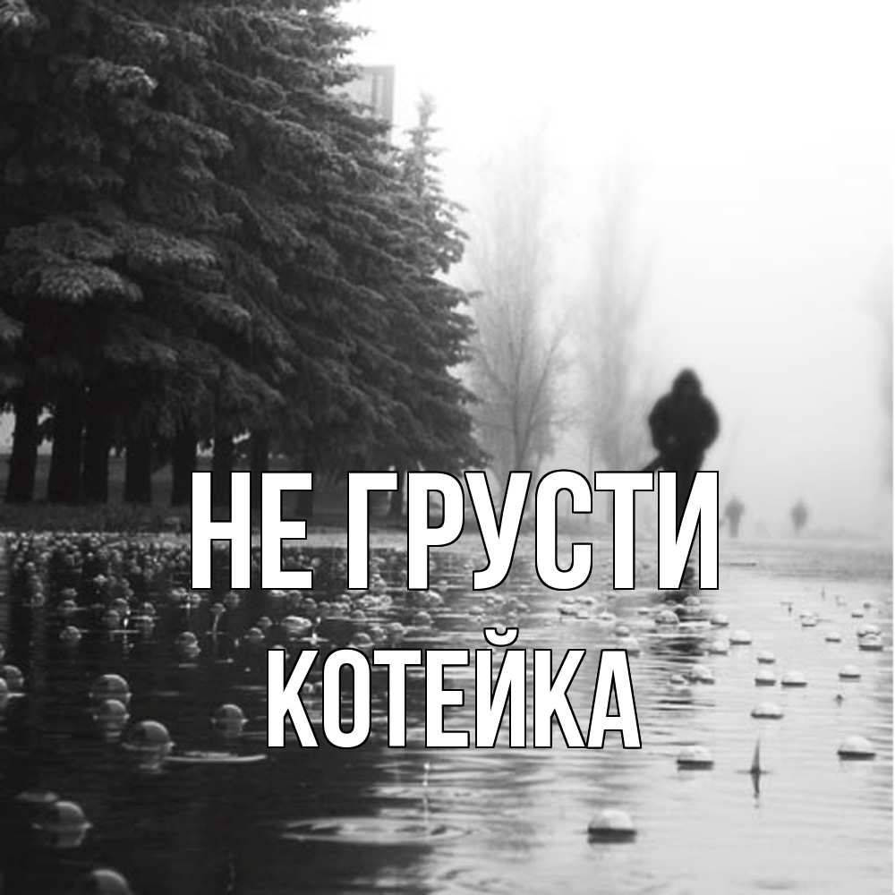 Открытка на каждый день с именем, Котейка Не грусти улица под дождем Прикольная открытка с пожеланием онлайн скачать бесплатно 