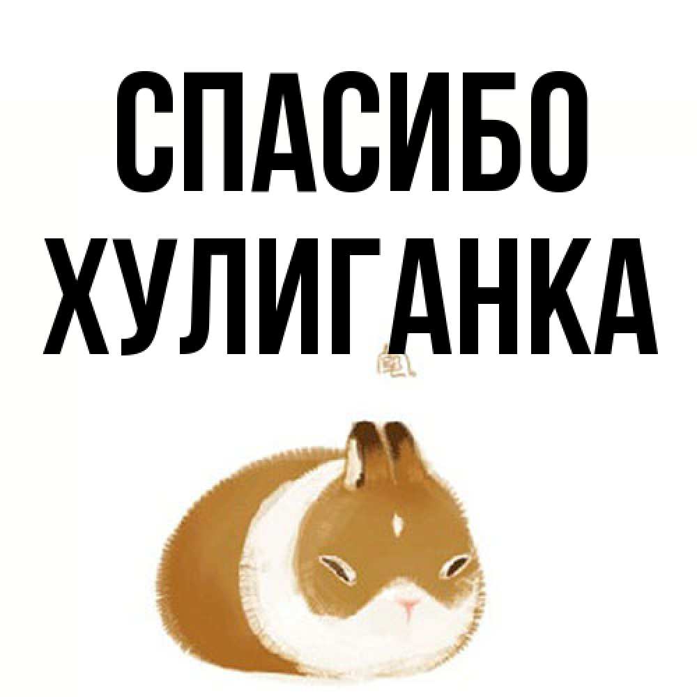Открытка на каждый день с именем, Хулиганка Спасибо коричнево белый домашний питомец Прикольная открытка с пожеланием онлайн скачать бесплатно 