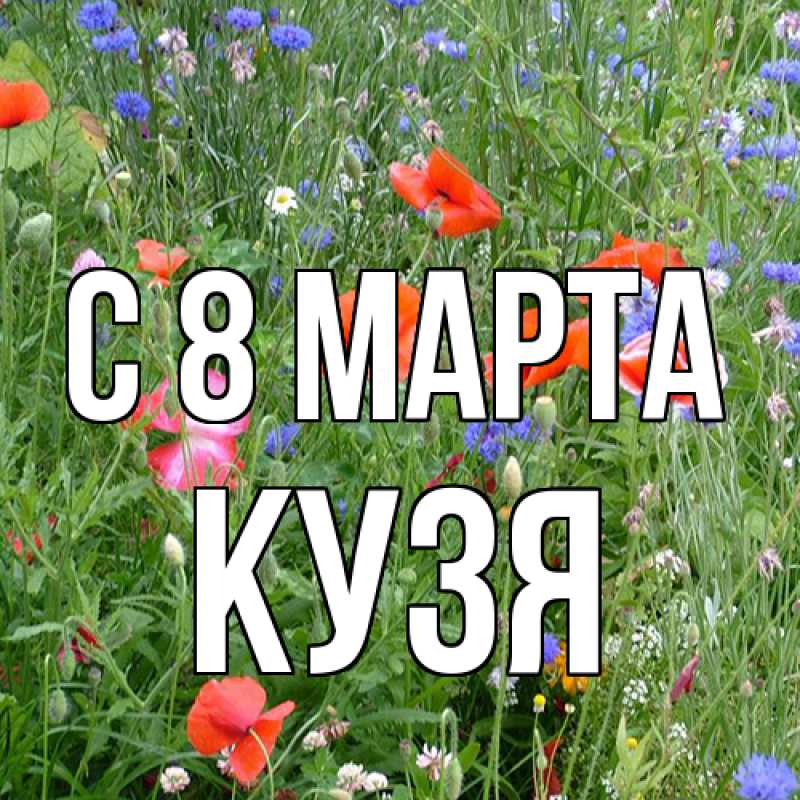 Картинка C 8 МАРТА, Кузя