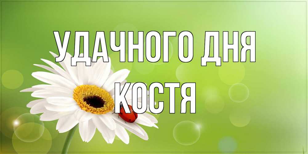 Открытка на каждый день с именем, Костя Удачного дня зеленый фон и ромашка Прикольная открытка с пожеланием онлайн скачать бесплатно 