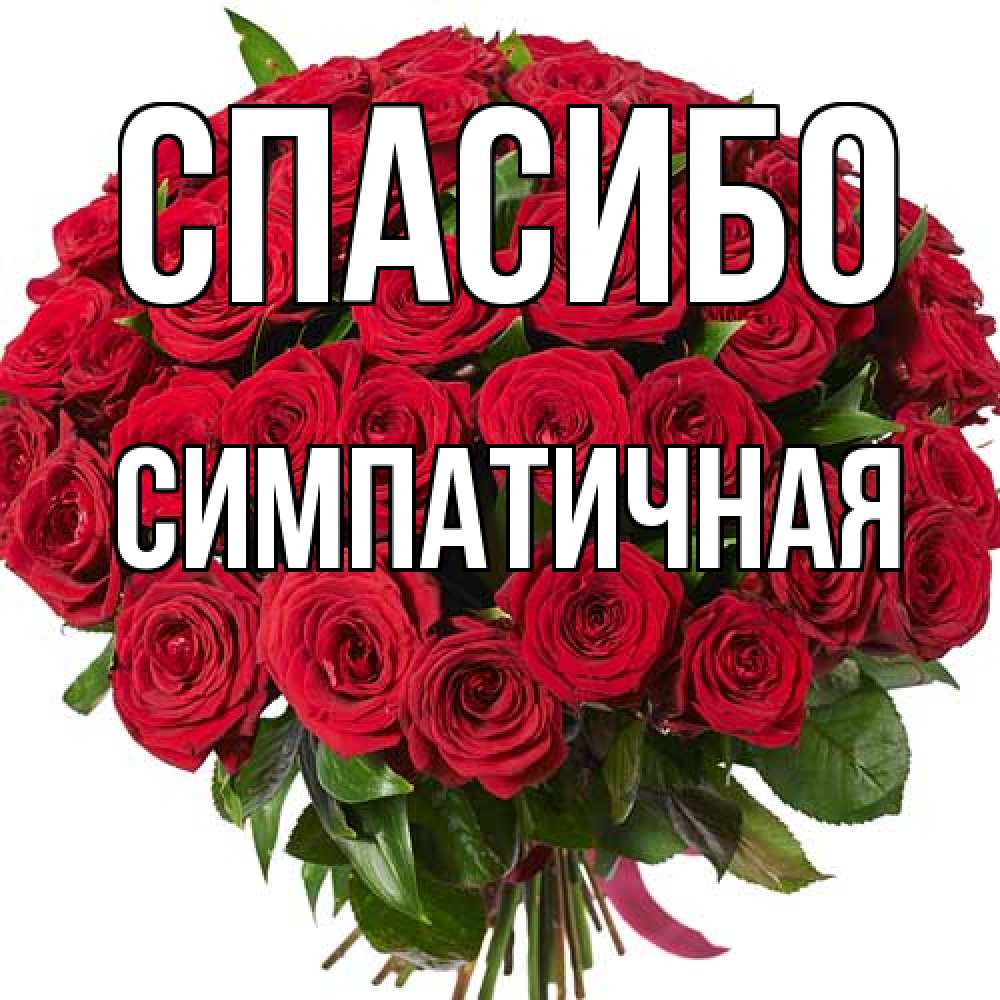 Открытка на каждый день с именем, симпатичная Спасибо букет красных роз Прикольная открытка с пожеланием онлайн скачать бесплатно 