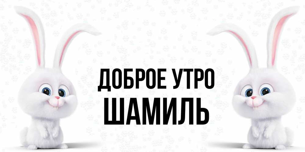 Открытка на каждый день с именем, Шамиль Доброе утро кролики с длинными ушками Прикольная открытка с пожеланием онлайн скачать бесплатно 