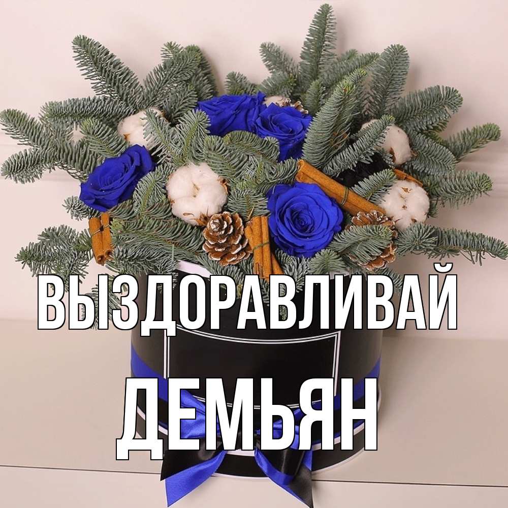Открытка на каждый день с именем, Демьян Выздоравливай короче кто то загрузил эти шишки Прикольная открытка с пожеланием онлайн скачать бесплатно 