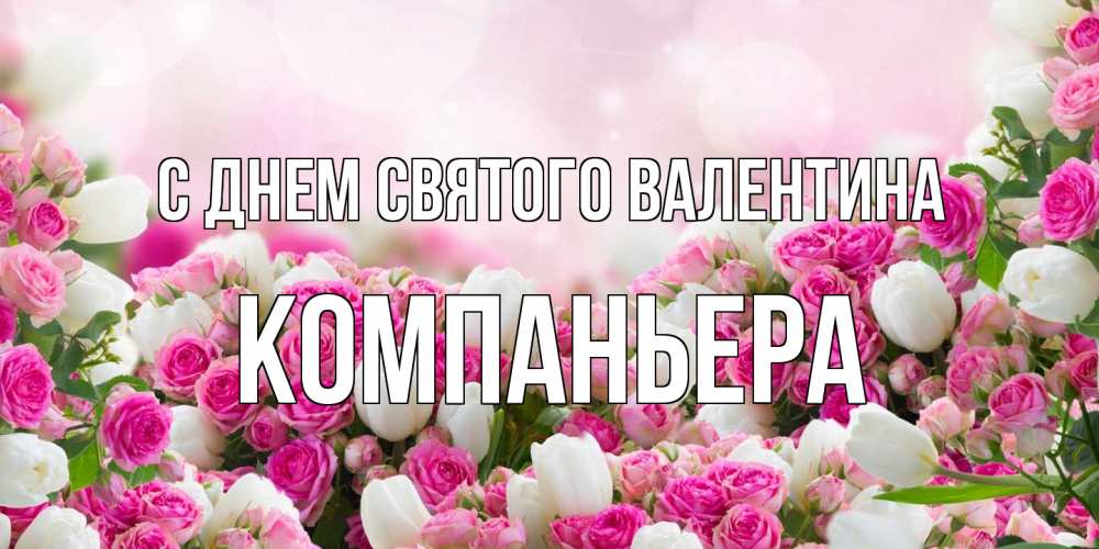 Открытка на каждый день с именем, Компаньера С днем Святого Валентина валентинка с именем Прикольная открытка с пожеланием онлайн скачать бесплатно 