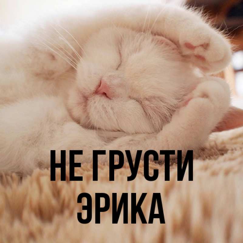 Картинка Не грусти, Эрика
