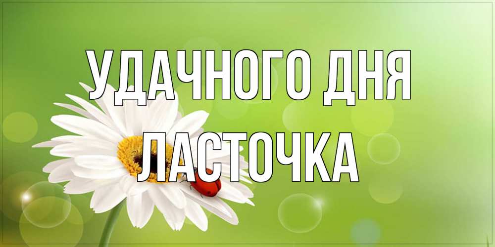 Открытка на каждый день с именем, Ласточка Удачного дня зеленый фон и ромашка Прикольная открытка с пожеланием онлайн скачать бесплатно 