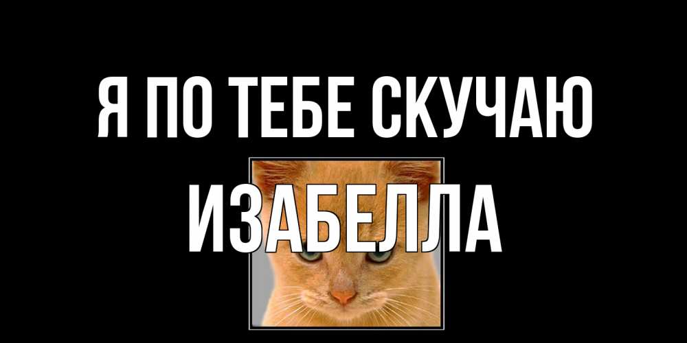 Открытка на каждый день с именем, Изабелла Я по тебе скучаю открытки рыжий котенок скучает по тебе Прикольная открытка с пожеланием онлайн скачать бесплатно 