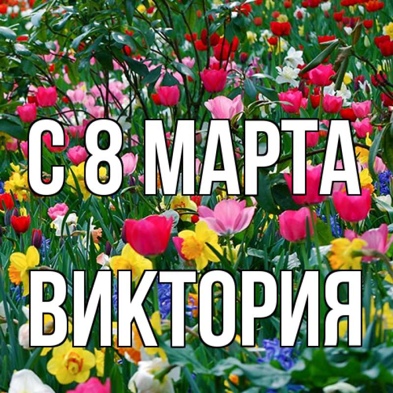 Картинка C 8 МАРТА, Виктория