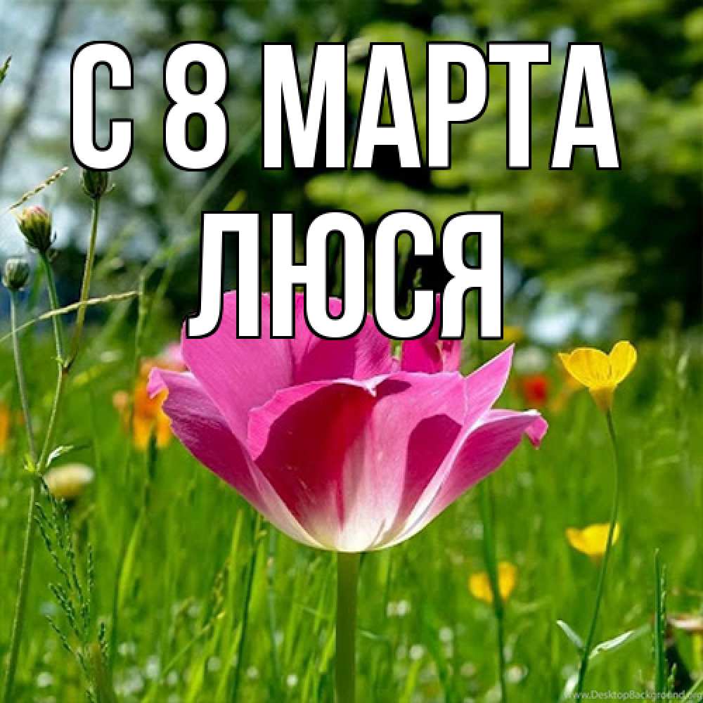 Открытка на каждый день с именем, Люся C 8 МАРТА полевые цветы Прикольная открытка с пожеланием онлайн скачать бесплатно 