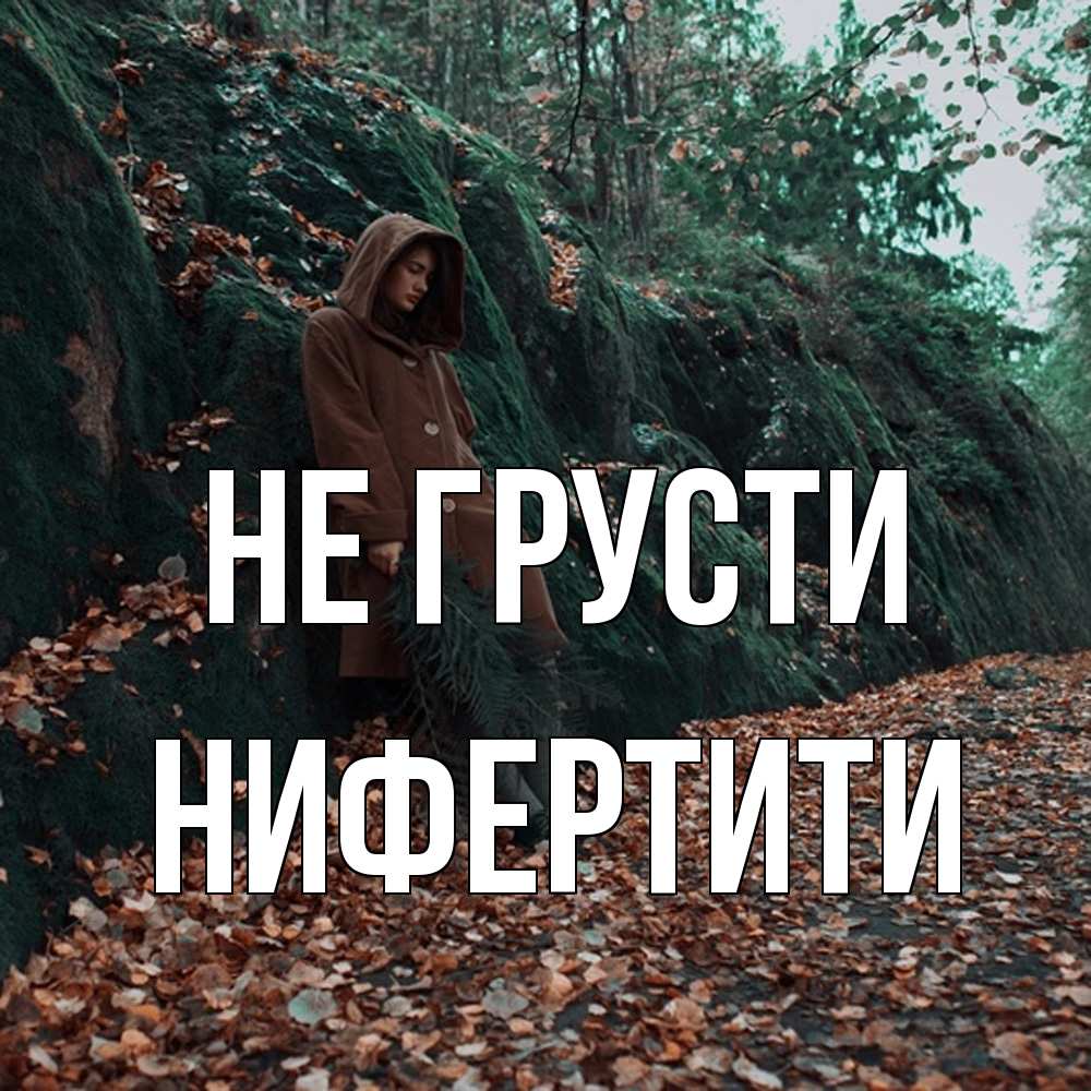 Открытка на каждый день с именем, Нифертити Не грусти осенний лес Прикольная открытка с пожеланием онлайн скачать бесплатно 