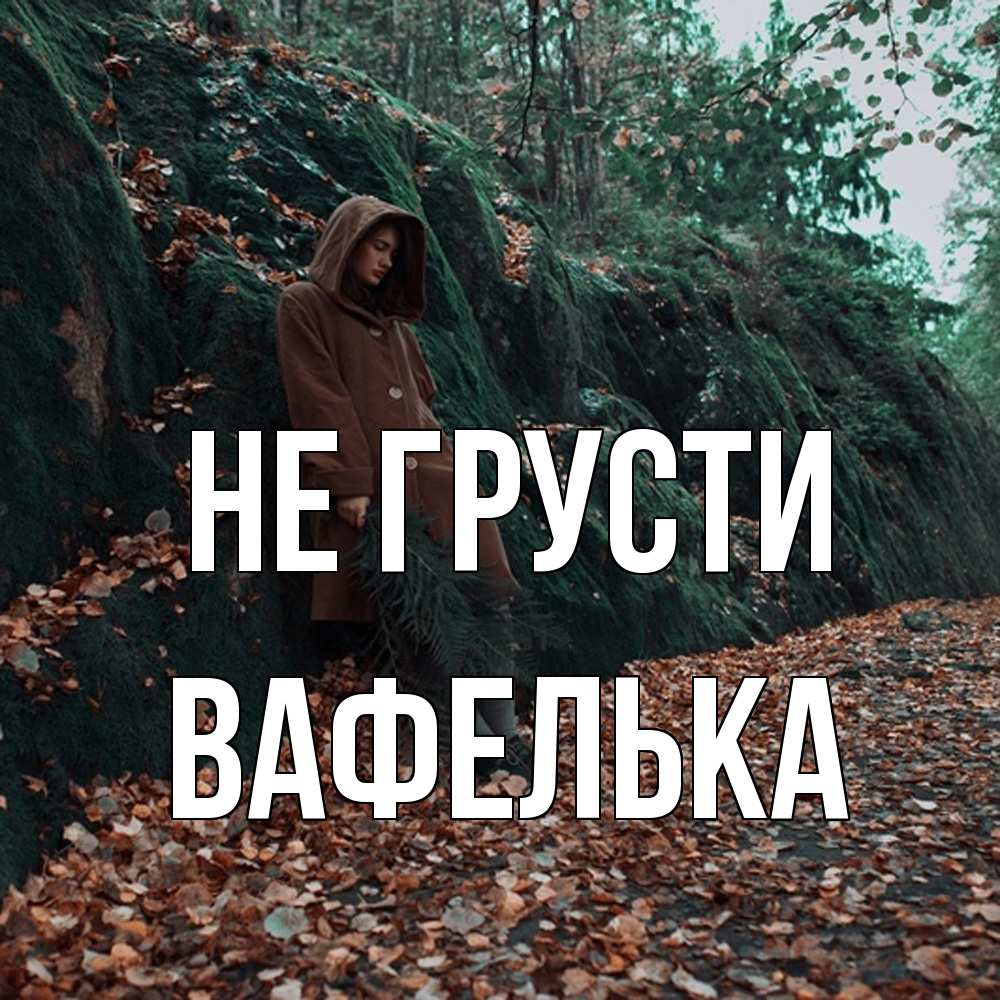Открытка на каждый день с именем, вафелька Не грусти осенний лес Прикольная открытка с пожеланием онлайн скачать бесплатно 