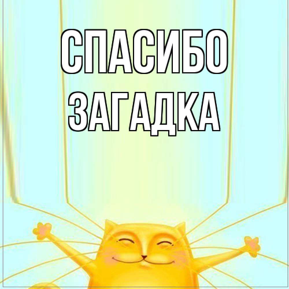 Открытка на каждый день с именем, Загадка Спасибо кот с усами благодарит Прикольная открытка с пожеланием онлайн скачать бесплатно 