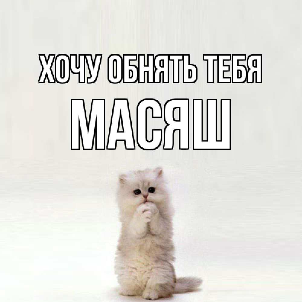 Открытка на каждый день с именем, Масяш Хочу обнять тебя открытки с креативными подписями Прикольная открытка с пожеланием онлайн скачать бесплатно 